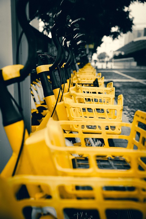 learning improvement cycle